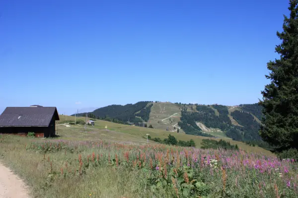 Randonnée Les Houches