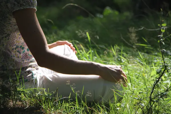 Ide-ô - reconnexion à la nature - bains de forêt - Qi Gong - Shinrin Yoku