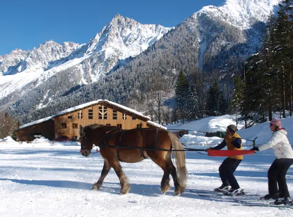 Initiation et découverte du ski joëring