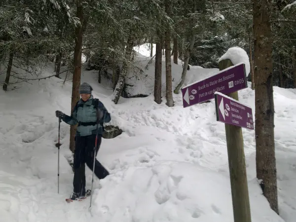 Itinéraire raquette du Glacier des Bossons