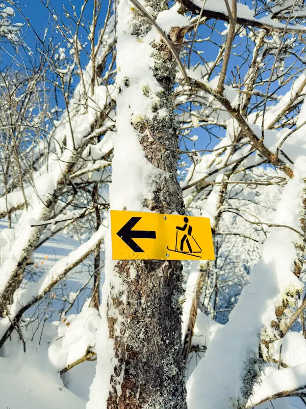 Itinéraire ski de randonnée 1