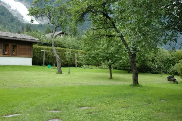 jardin