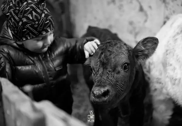 La Ferme de la Griaz