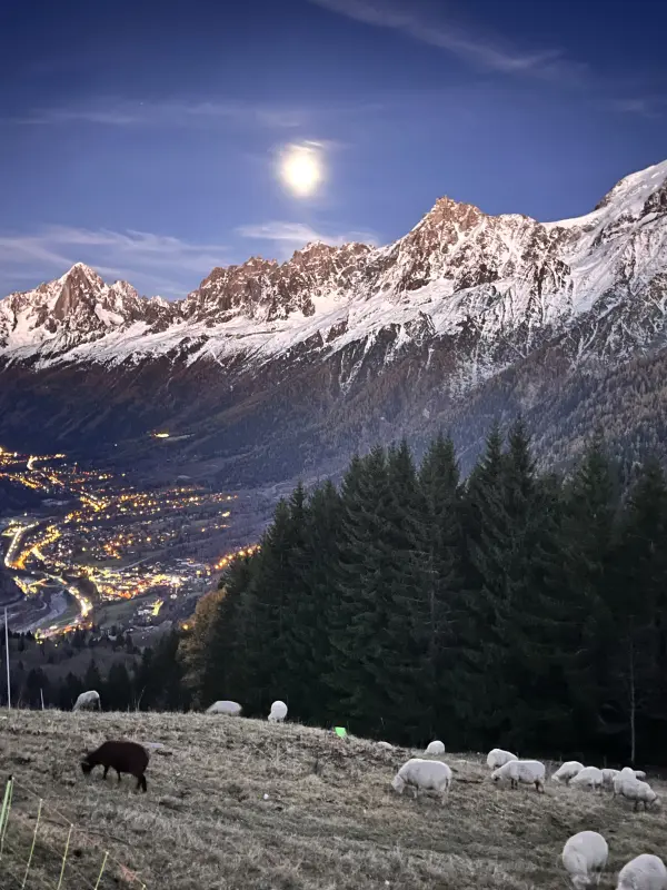 Vue Mont-Blanc 