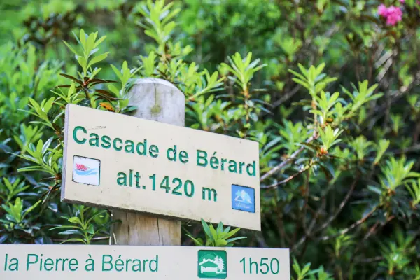 Berard