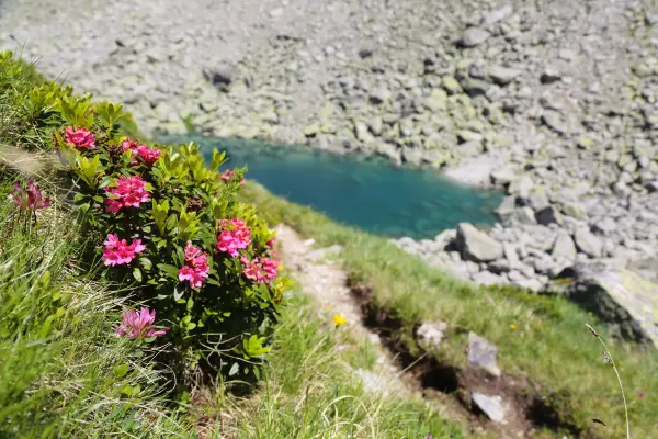 Lac Bleu