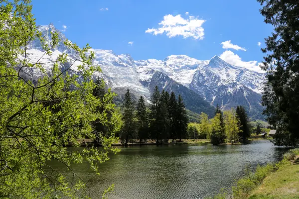 Lac en été