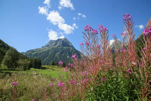Le chemin des Diligences_Vallorcine