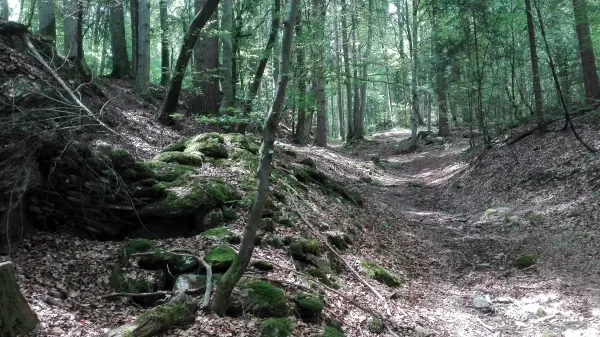 Sentier des Gures
