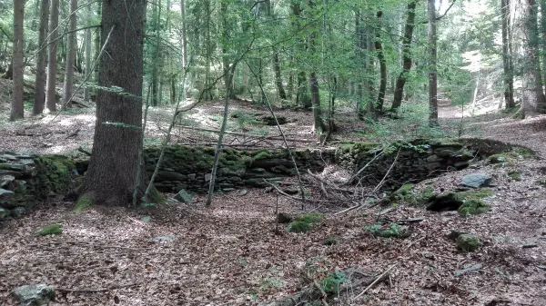 Sentier des Gures