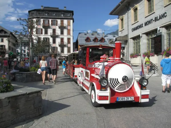 petit train visite