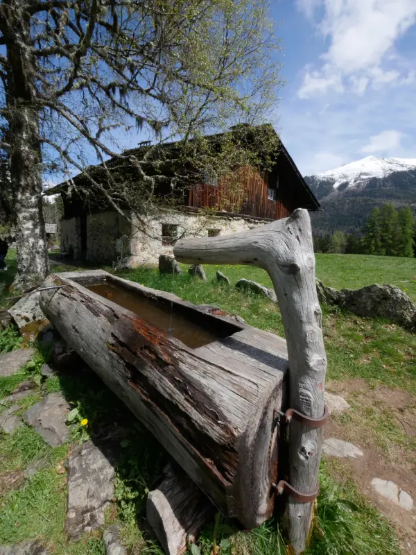 alpage