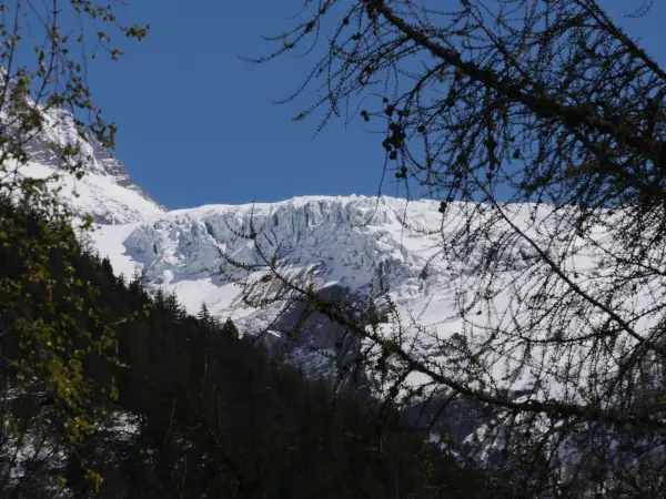paysage