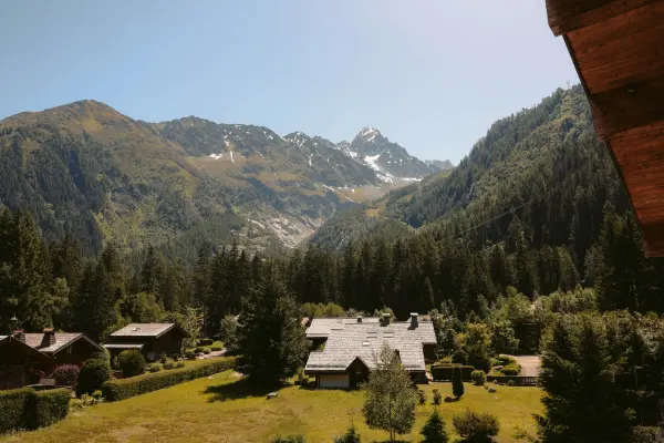 Vue Grands Montets