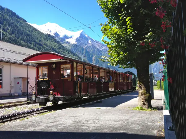 Les Guides du Patrimoine de la vallée de Chamonix (Guides PSMB)