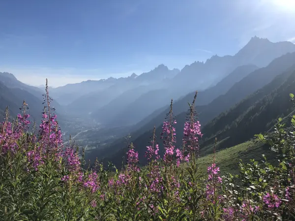 Les Houches