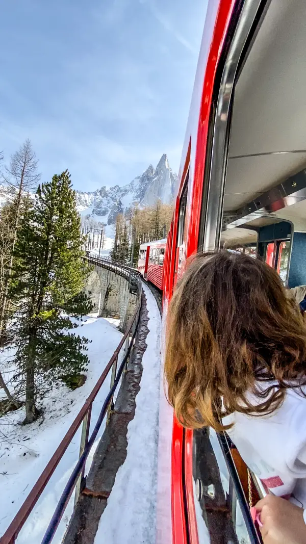 Fenetre train Montenvers