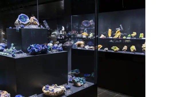 Vitrines, musée des Cristaux