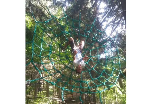 Parcours aventure : La Forêt Magique