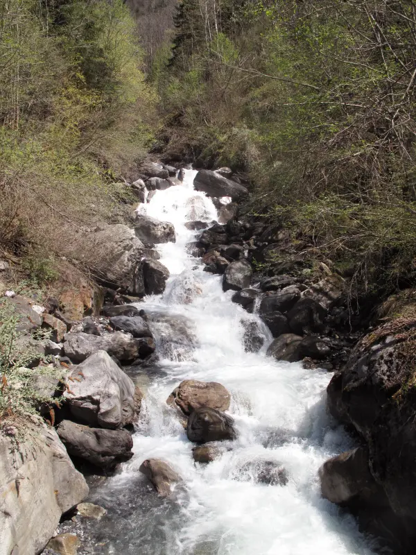 Pêche à Servoz