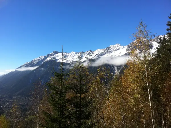 Petit Balcon Nord - vue sur les Aiguilles Rouges