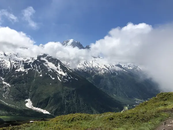 Vue