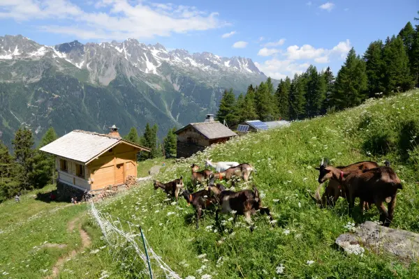alpage de blaitière chamonix 2