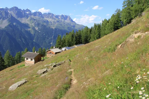 Alpage de Blaitière