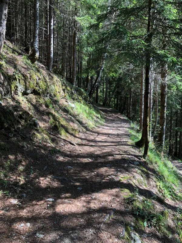 Montée à Planpraz