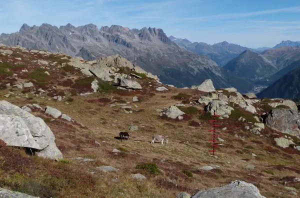 Plan de l'aiguille