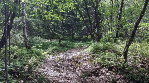 Sentier des Gures