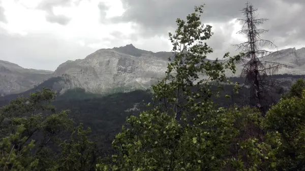 Sentier des Gures
