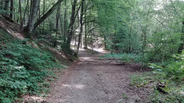 Sentier des Gures