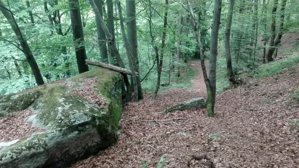 Sentier des Gures