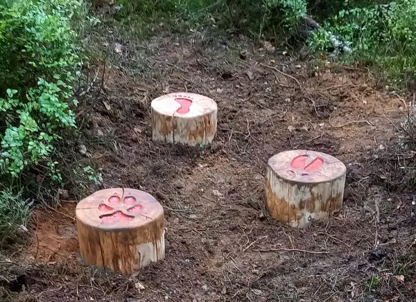 Sentier thématique "Les Croës en forêt"