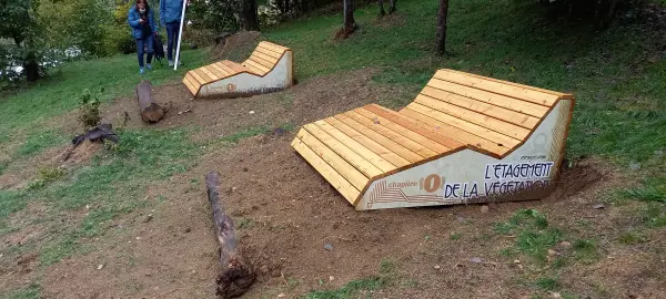 Les croes en foret