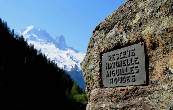 Reserve naturelle des Aiguilles Rouges