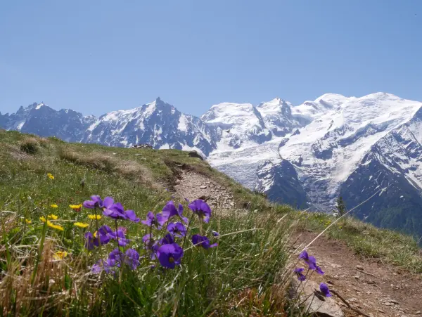 Evolution2-Chamonix-Randonée pédestre