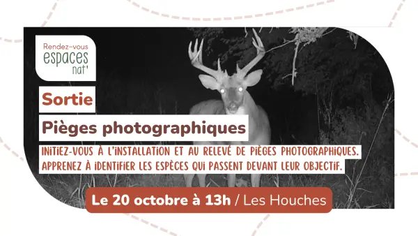 Sortie nature - Pièges photographiques