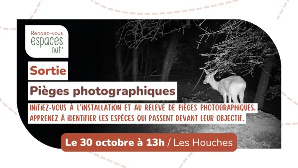 Sortie nature - Pièges photographiques