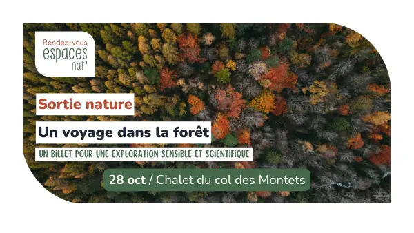 Sortie nature - Un voyage dans la forêt