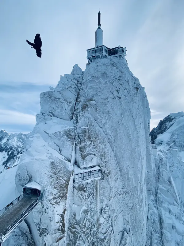 Aiguille platree
