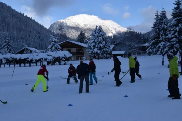 Hockey sur neige