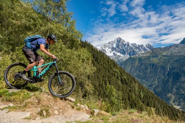 VTT