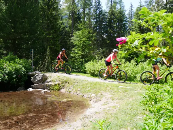 Evolution2-Chamonix-VTT
