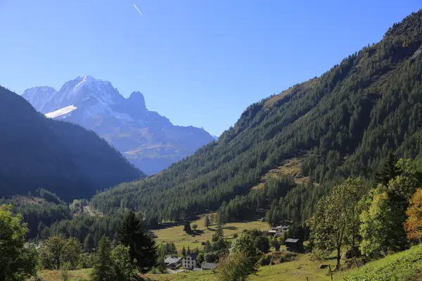 Paysage d'été à Vallorcine