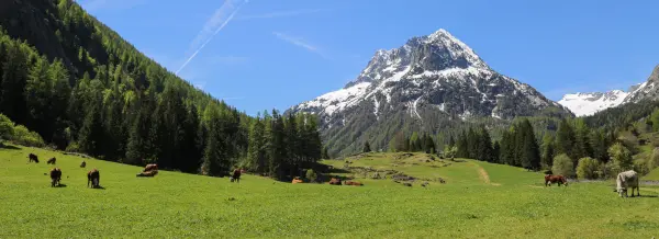 Vue sur le Buet depuis Vallorcine