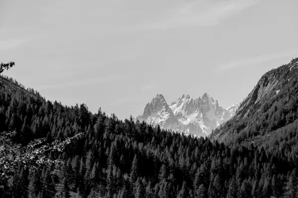 Vallorcine en été