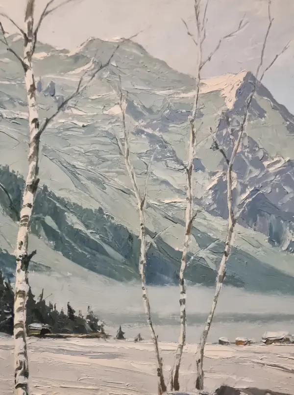 Visite guidée De neige et de glace