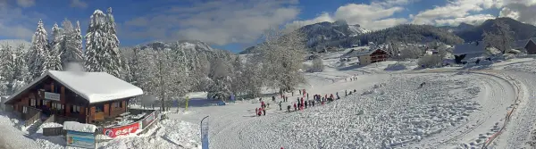 Happy nordic ski